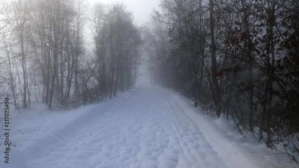 Slow travelling through a snowy forest with heavy fog and some light rays. Slow travelling through a snowy forest with heavy fog and some light rays.