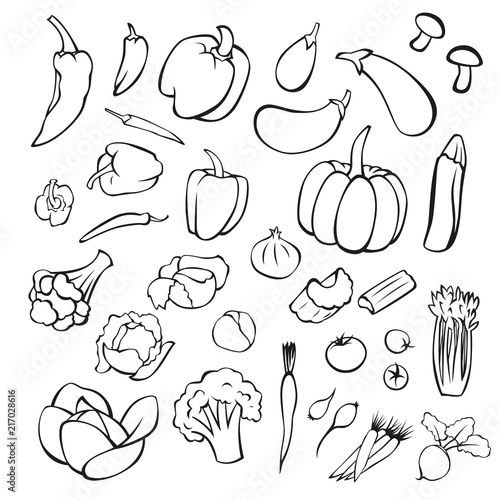 Fototapeta Naklejka Na Ścianę i Meble -  vector set of vegetables