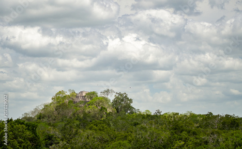 Ancient Mayan stone structure rising out of the jungle canopy at Calakmul, Mexico