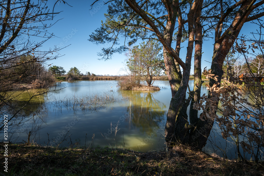 Blick auf Fischteich und Bäume Blick auf Fischteich und Bäume