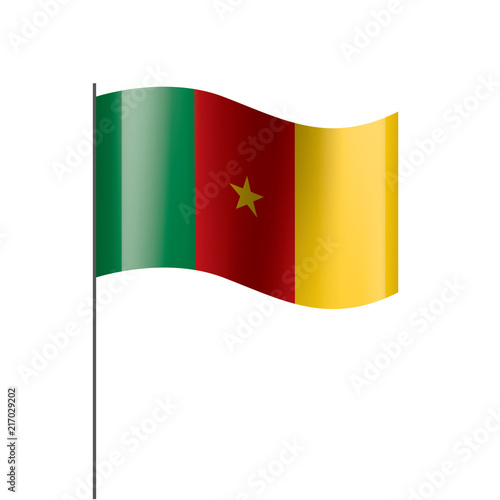 Cameroon flag  vector illustration on a white background