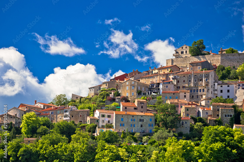 Town of Motovun on picturesque hill view