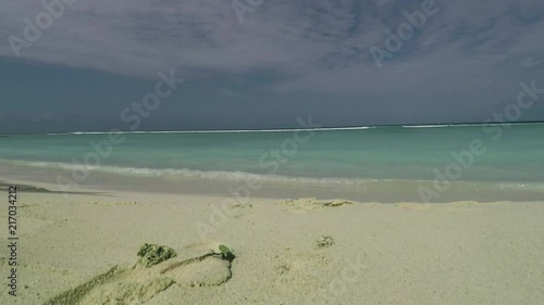 Hermit the crab walking along the sandy beach in Maldives. photo