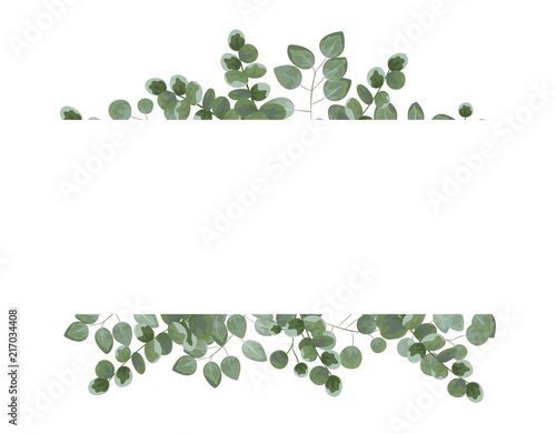 background for text from eucalyptus. gray and green eucalyptus.invitation, postcard with eucalyptus. rustic style, Botanical style. burp with greens. vector illustration
