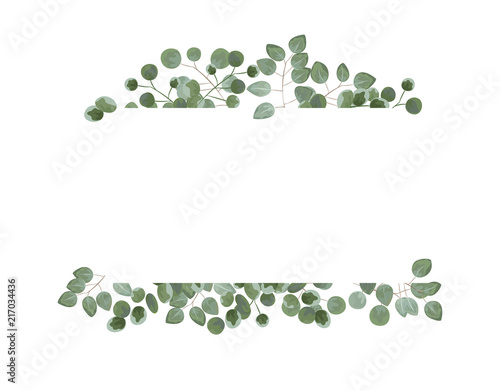 background for text from eucalyptus. gray and green eucalyptus.invitation, postcard with eucalyptus. rustic style, Botanical style. burp with greens. vector illustration