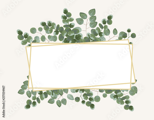 background for text from eucalyptus. gray and green eucalyptus.invitation, postcard with eucalyptus. rustic style, Botanical style. burp with greens. vector illustration