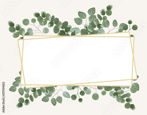 background for text from eucalyptus. gray and green eucalyptus.invitation, postcard with eucalyptus. rustic style, Botanical style. burp with greens. vector illustration