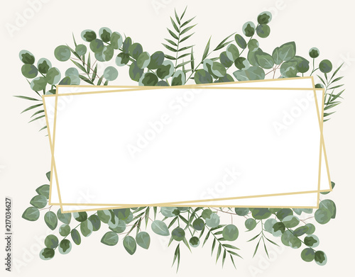 background for text from eucalyptus. gray and green eucalyptus.invitation, postcard with eucalyptus. rustic style, Botanical style. burp with greens. vector illustration