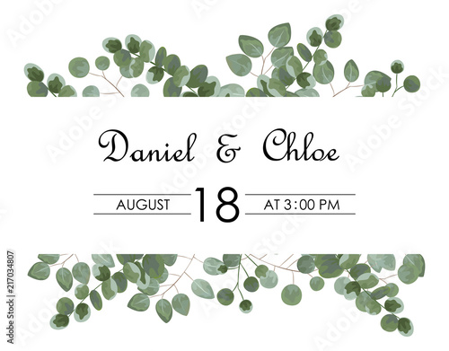 background for text from eucalyptus. gray and green eucalyptus.invitation, postcard with eucalyptus. rustic style, Botanical style. burp with greens. vector illustration