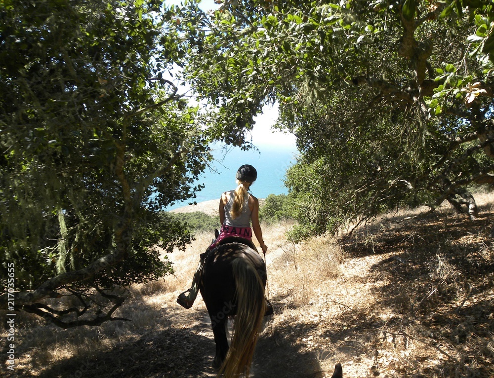 Riding out of the oak trees