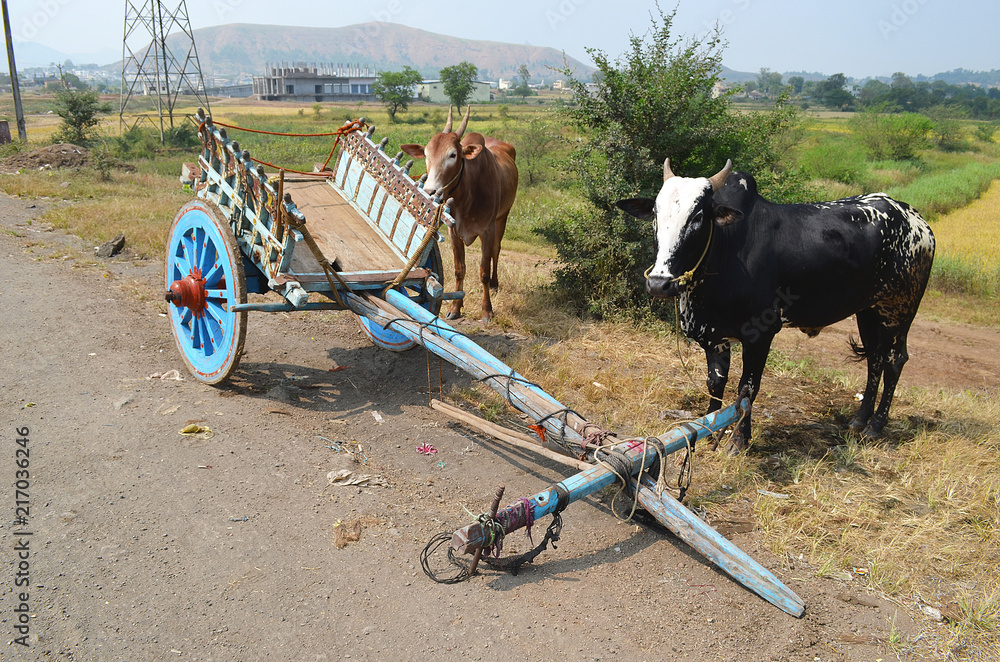 Bullock cart parked by the roadside in an indian village Stock Photo