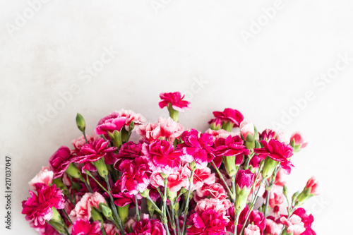 Beautiful pink carnation flowers on white background. Flowers background.