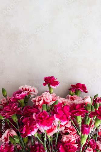 Beautiful pink carnation flowers on white background. Flowers background.