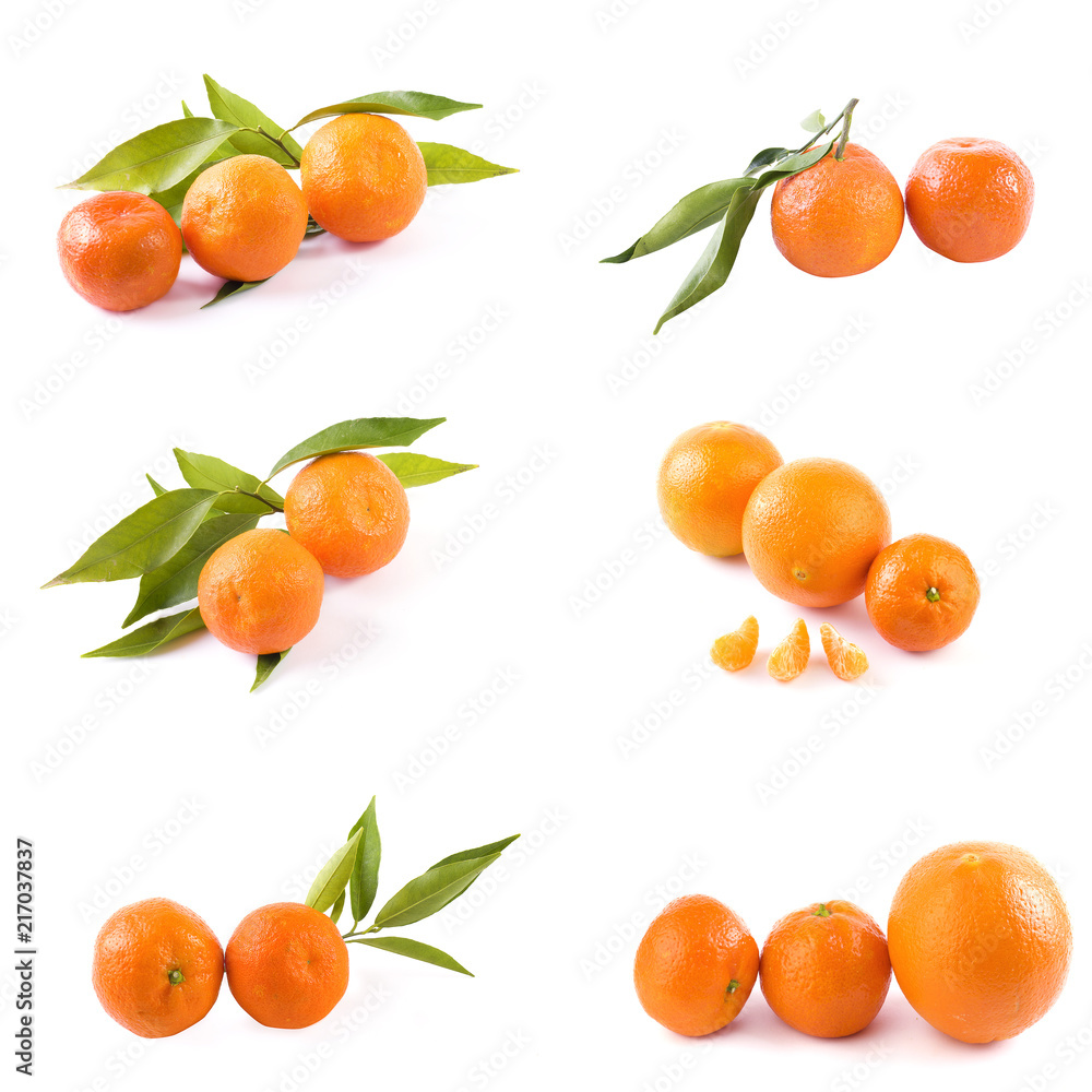 Fresh mandarins isolated on white background. Oranges are arranged in rows. Placed on a white background. Fresh mandarins isolated on white background. Oranges are arranged in rows. Placed on a white background.