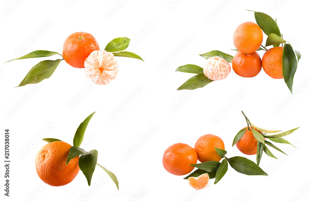 Fresh mandarins isolated on white background. Oranges are arranged in rows. Placed on a white background. Fresh mandarins isolated on white background. Oranges are arranged in rows. Placed on a white background.