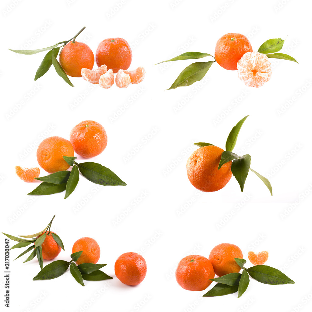Fresh mandarins isolated on white background. Oranges are arranged in rows. Placed on a white background. Fresh mandarins isolated on white background. Oranges are arranged in rows. Placed on a white background.