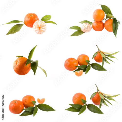 Fresh mandarins isolated on white background. Oranges are arranged in rows. Placed on a white background.