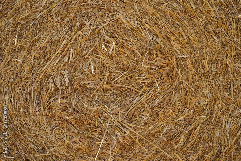 Dry golden straw bale texture or background Dry golden straw bale texture or background