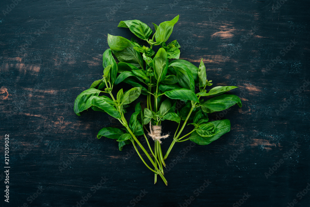 Fresh green basil. Top view. On the background. Free space for text. - obrazy, fototapety, plakaty 