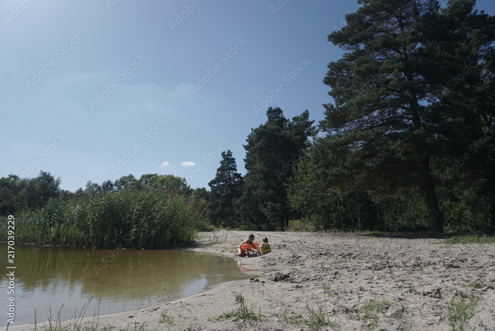 Fototapeta premium Large Pine Tree With Branches Hanging Over Sandy Beach