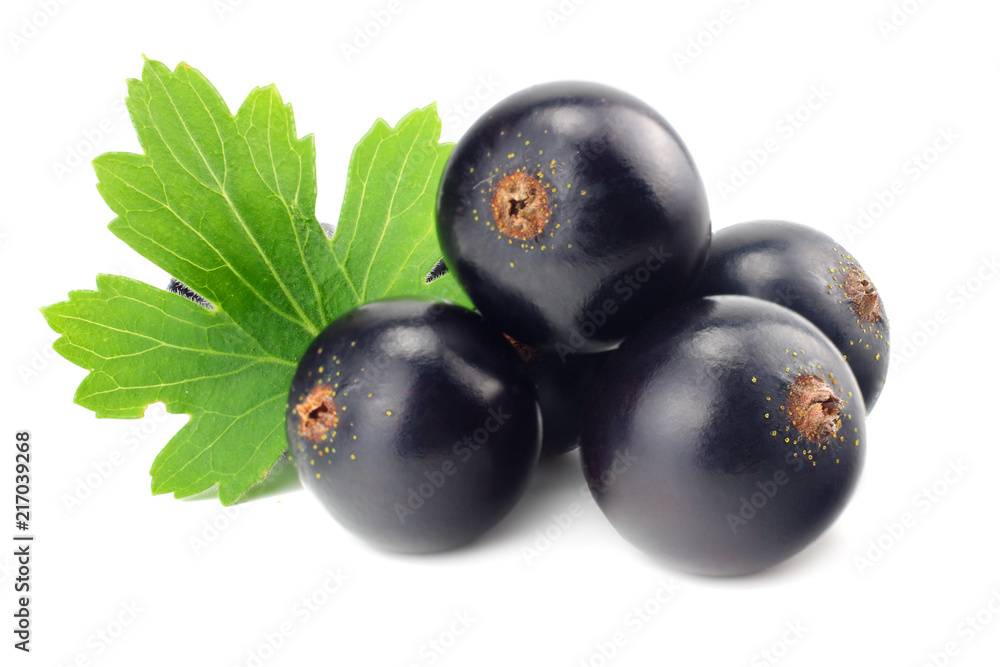 black currant with green leaf isolated on white background. macro black currant with green leaf isolated on white background. macro