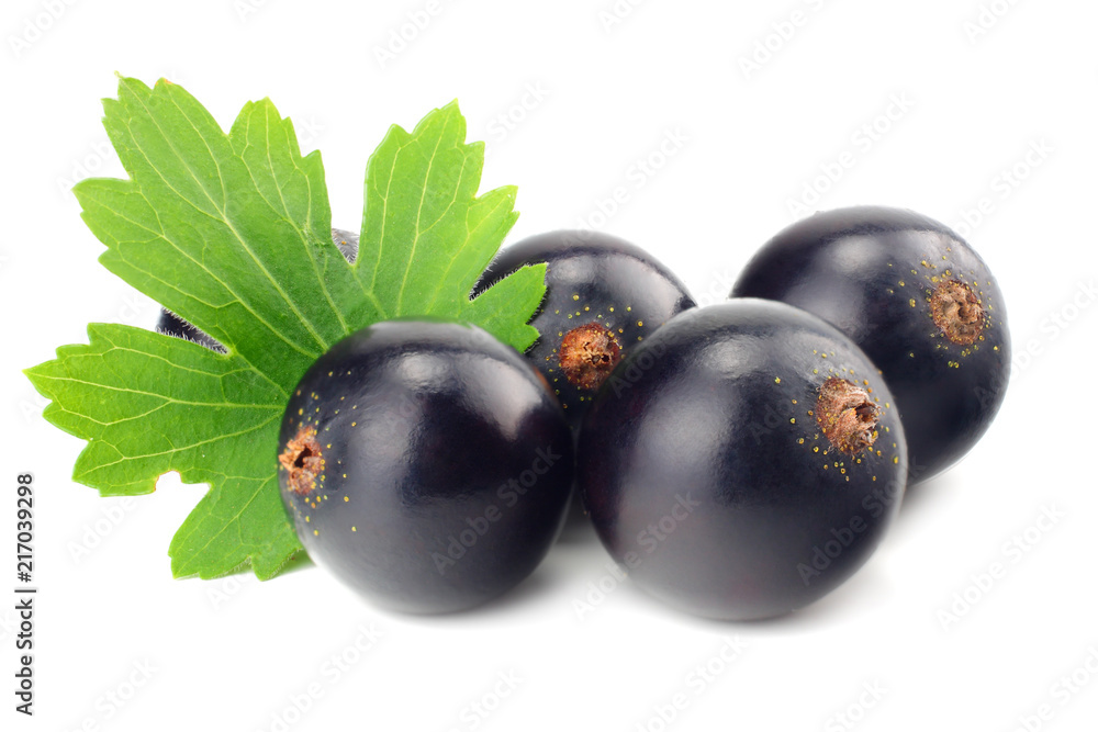 black currant with green leaf isolated on white background. macro black currant with green leaf isolated on white background. macro