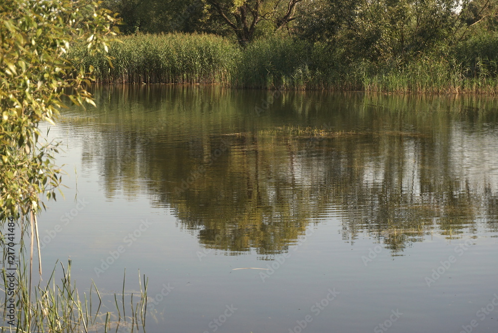 Obraz premium lake in the summertime