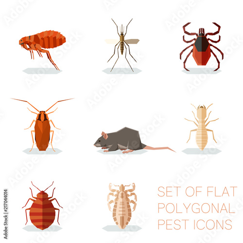 Set of flat polygonal pest icons