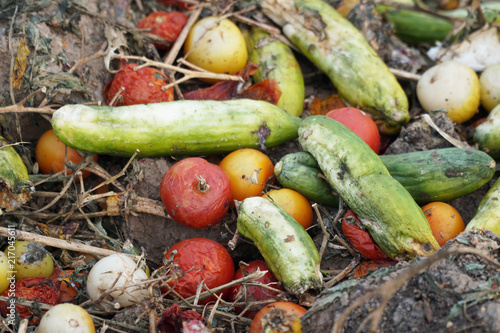 Vernichtung von frischem Obst und Gemüse photo