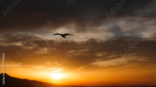 Sunset or sunrise over the sea with seagull and clouds. the concept of tranquility  calm  rest and travel.