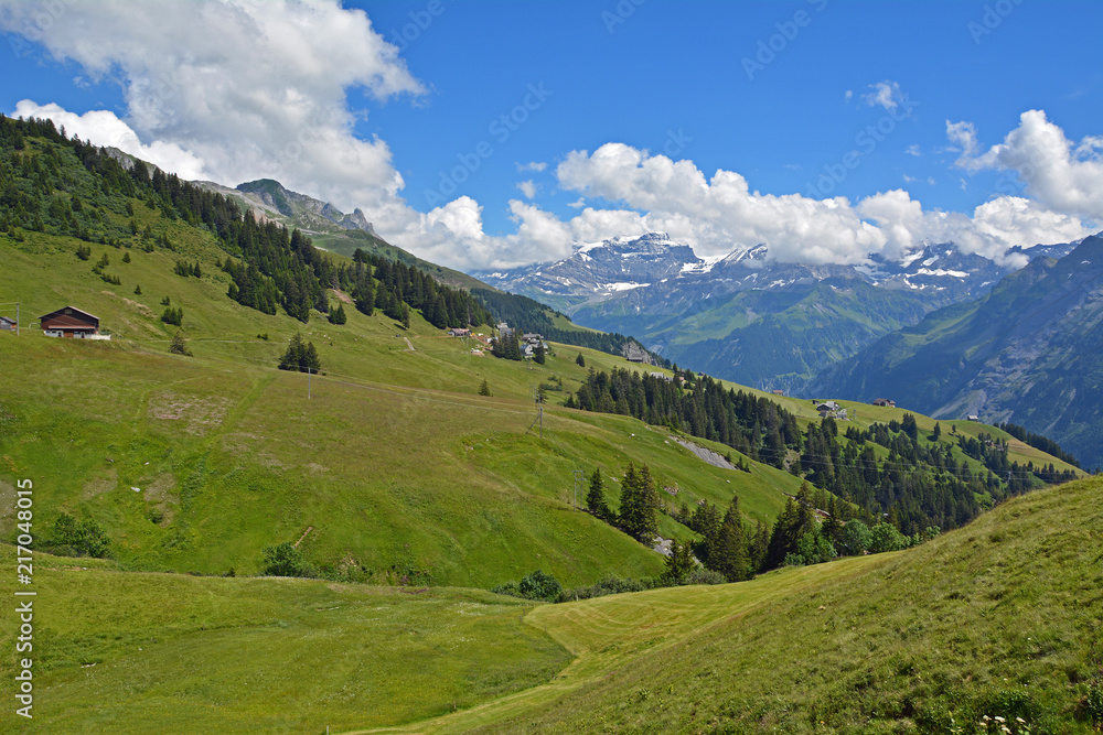 Naklejka premium Im Schächental, Kanton Uri