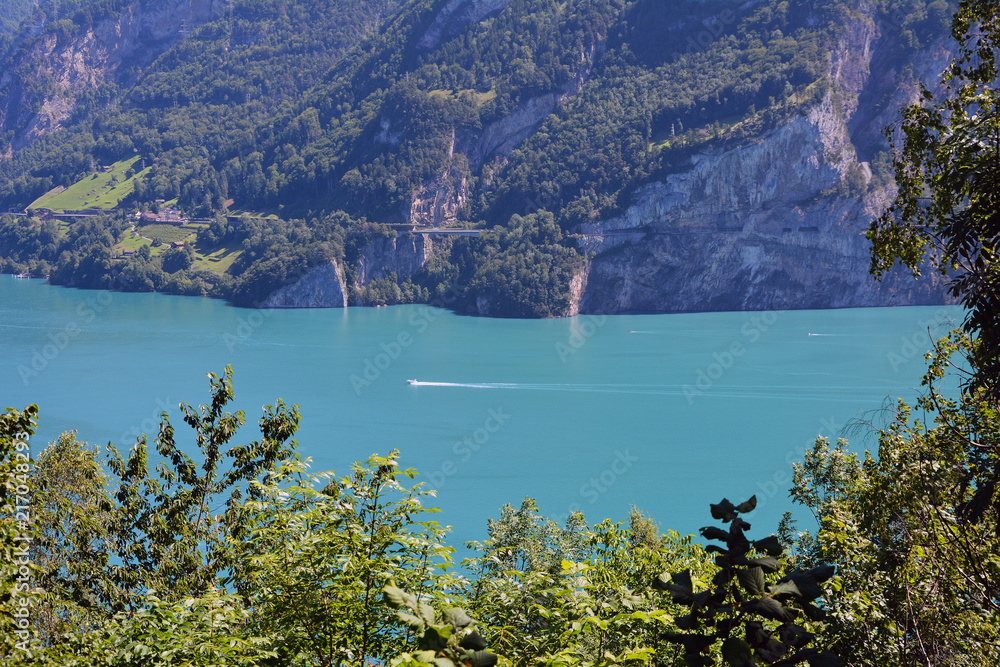 Obraz premium Urnersee / Vierwadstättersee