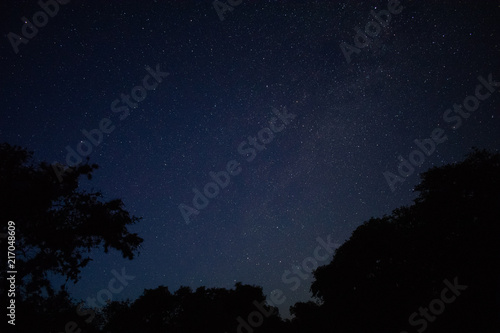 Night Sky