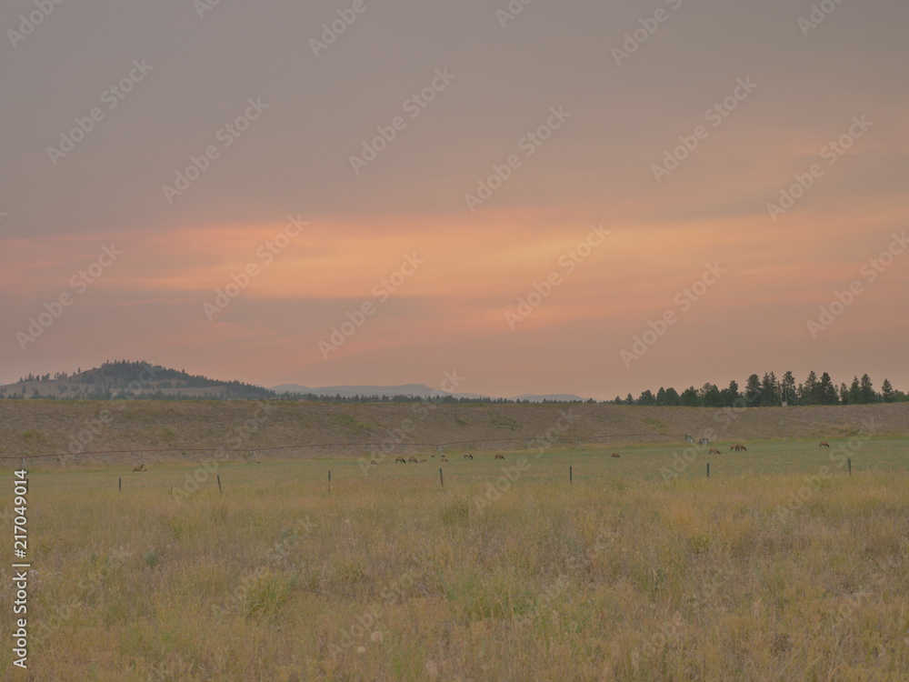 Obraz premium Surreal sunsets caused by haze and smoke in the East Kootenay region of British columbia