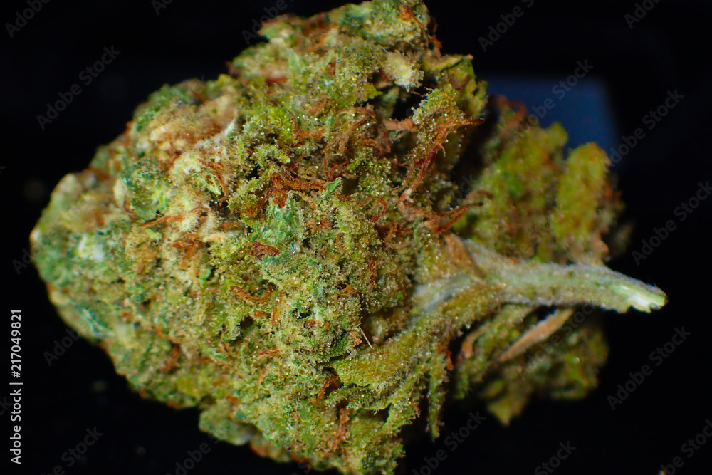 Close up macro of a fresh green marijuana bud. Close up macro of a fresh green marijuana bud.