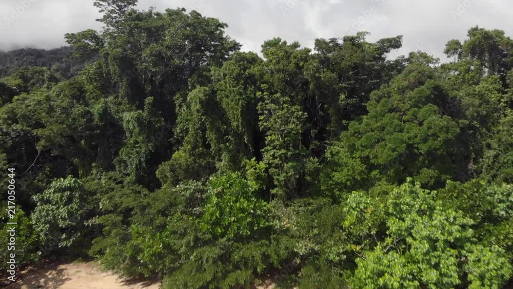 Approching a rainforest by the ocean elevating to reveal landscape Approching a rainforest by the ocean elevating to reveal landscape