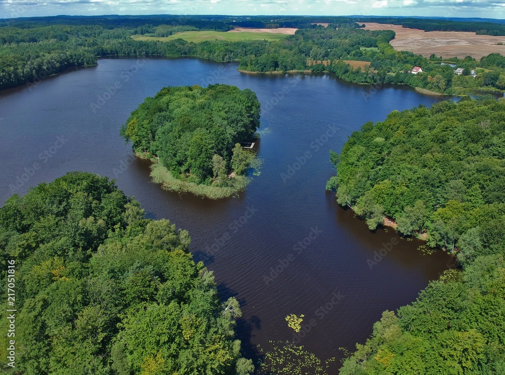 Aerial view on green island with forest on big lake