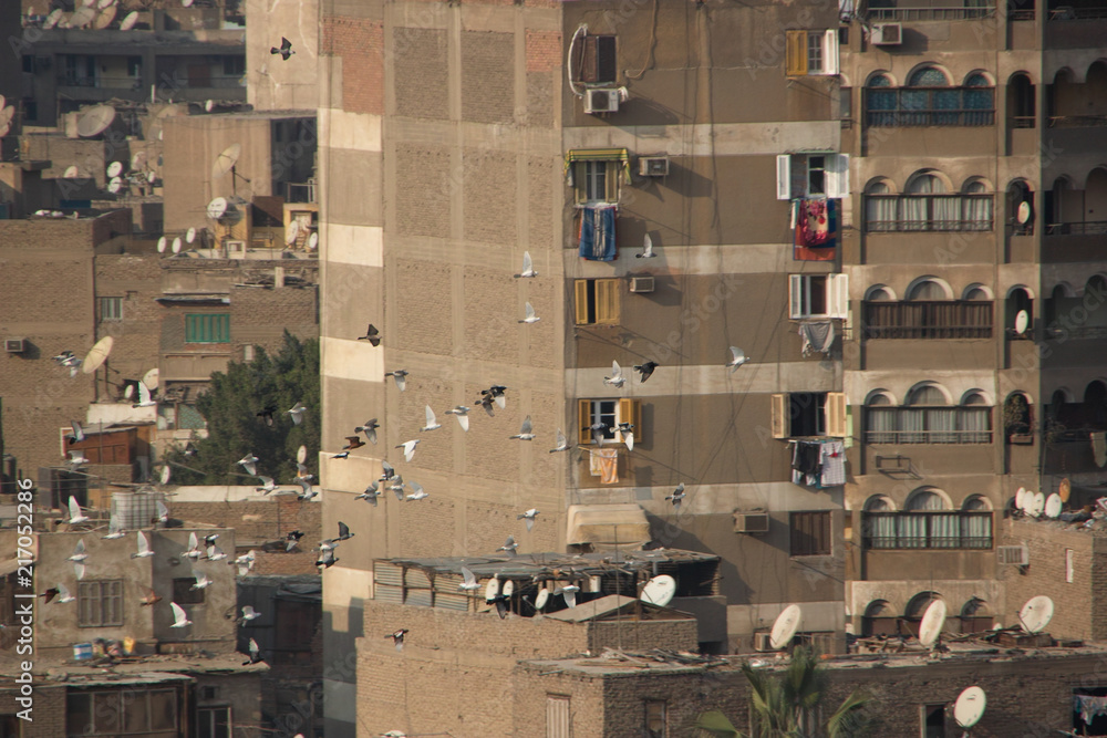Egypt Egypt