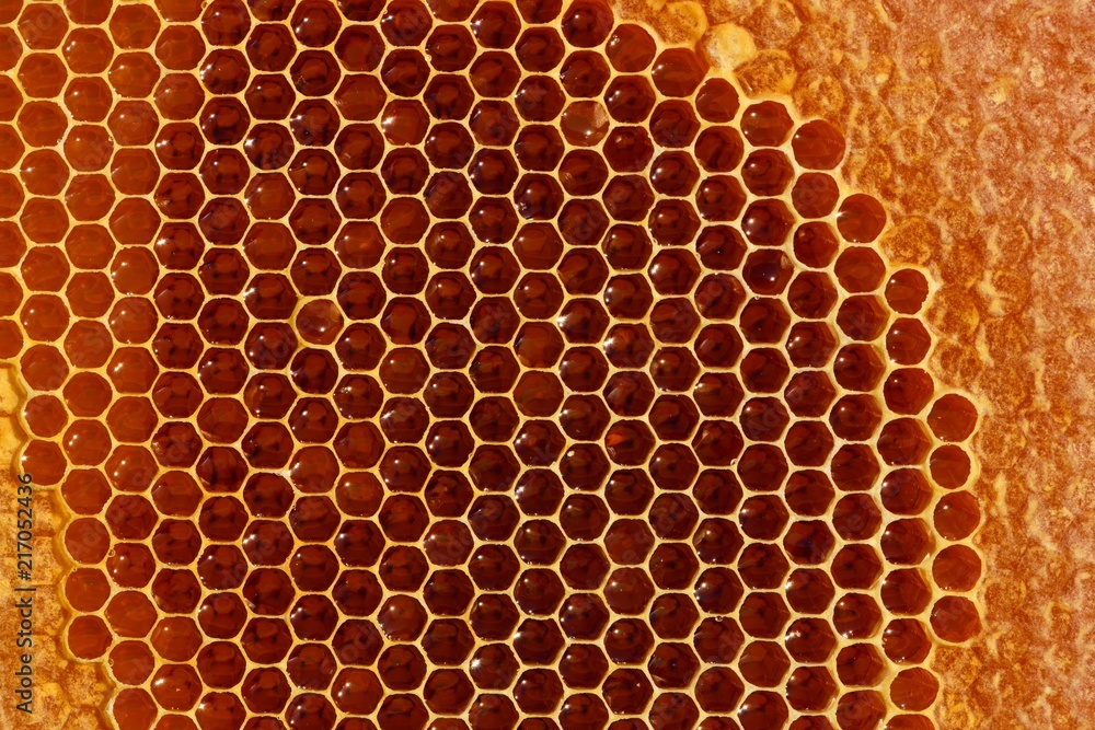 Honey 394 Honey 394