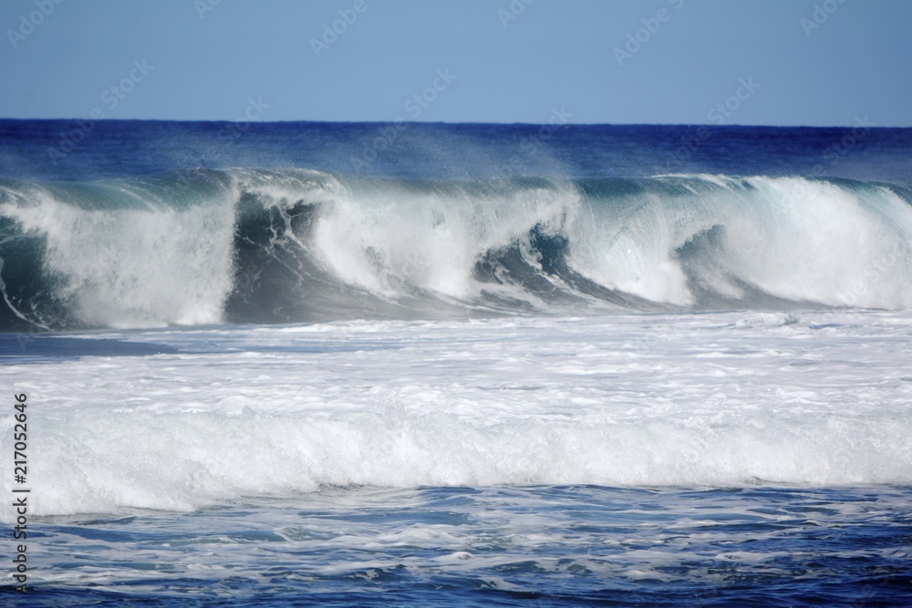 Naklejka premium Hawai'ian Beach Wave