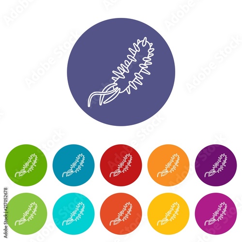 E coli bacteria icons color set vector for any web design on white background