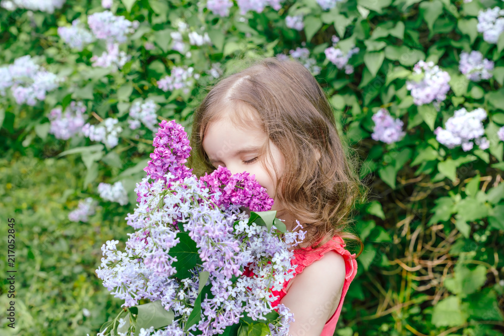 happy girl holding a bouquet of lilac. happy mother's Day! girl congratulates her mother, gives a bouquet of lilac flowers. happy girl holding a bouquet of lilac. happy mother's Day! girl congratulates her mother, gives a bouquet of lilac flowers.