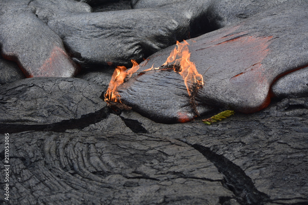 Lava burning plant Lava burning plant