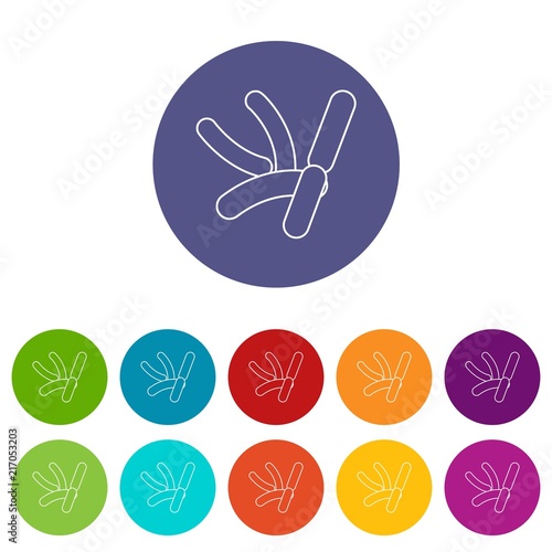 Bacilli icons color set vector for any web design on white background