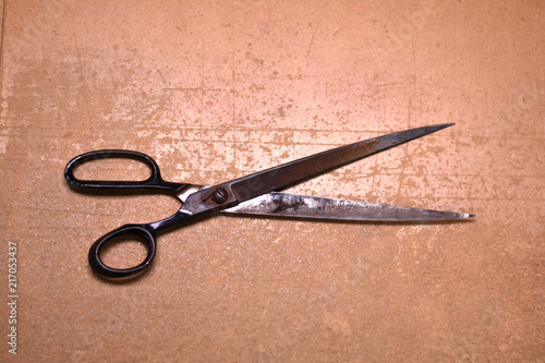 large sheers scissors 