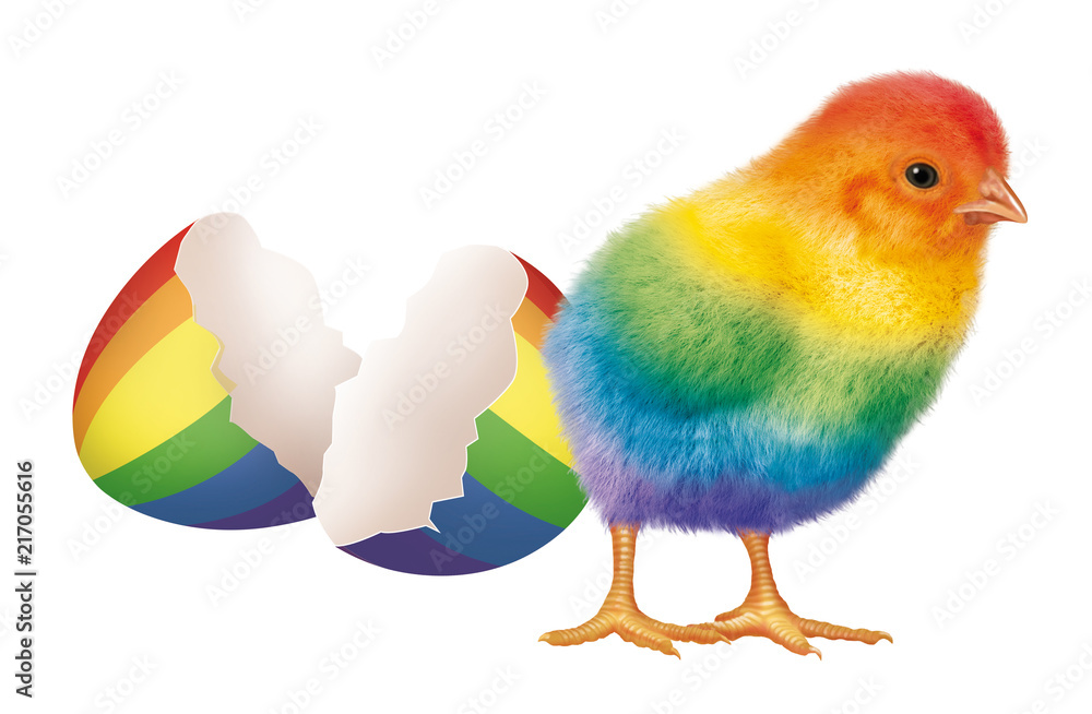 poussin- LGBT- arc en ciel- coloré- naissance- tolérance- gay- association- illustration- oeuf- cassé, drapeau