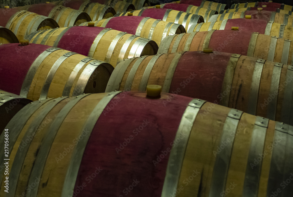 Wooden wine barrels in a basement 