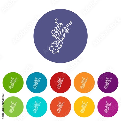 Micro vibrio icons color set vector for any web design on white background