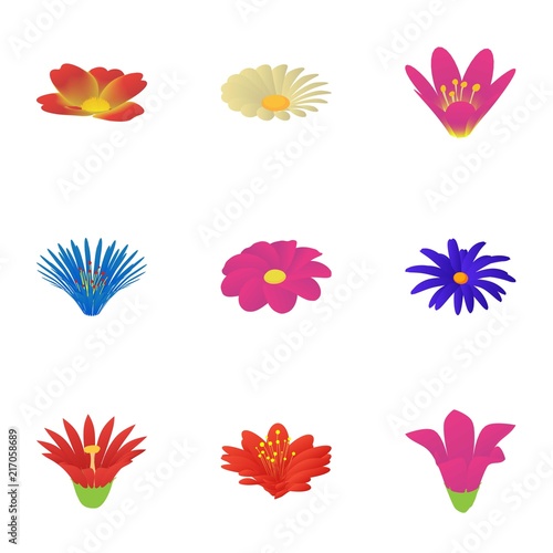 Passionflower icons set. Cartoon set of 9 passionflower vector icons for web isolated on white background