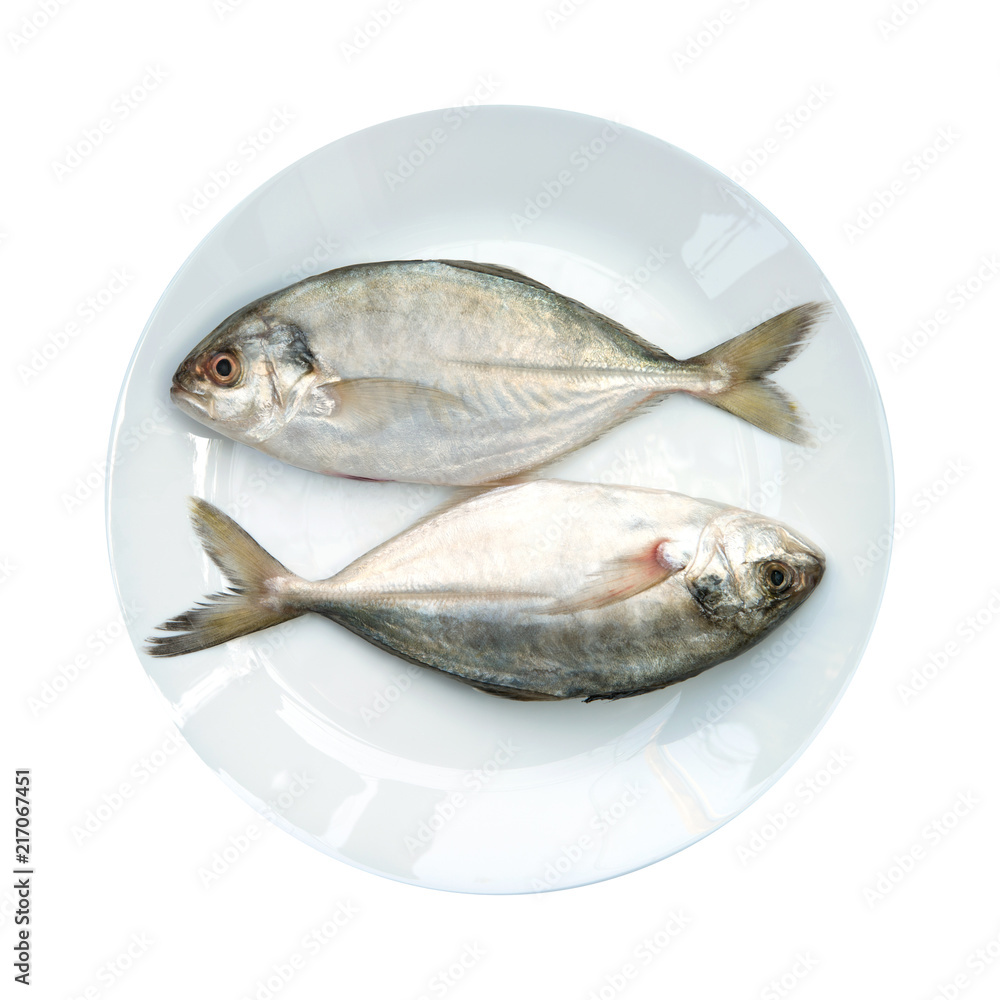 Yellow Tail Scad fish, Decapterus fish, on White plate, isolated on white background Yellow Tail Scad fish, Decapterus fish, on White plate, isolated on white background